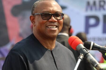 Appeals Court denies Peter Obi’s request to scan election materials from INEC’s database