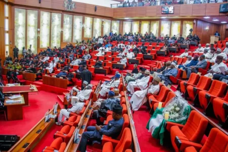 Senate wants tribunal to look into audit report problems