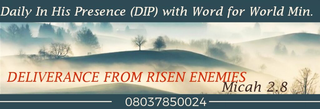 SocialMediaPostMaker 23062023 002326 1024x349