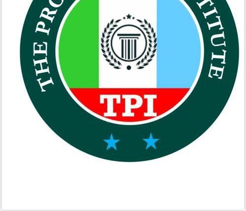 The Progressive Institute