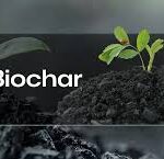 Embracing biochar innovation key to sustainable agriculture — Expert