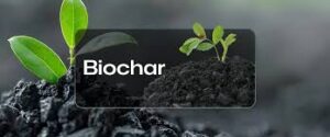 biochar